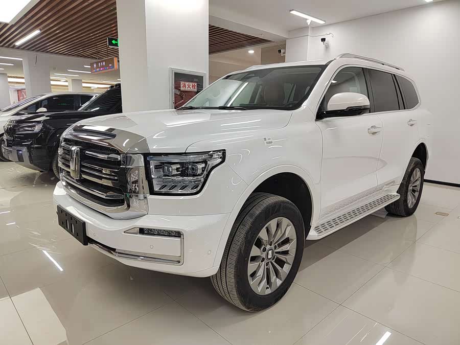 Tank 500 New Energy 2024 #2 Tank 500 New Energy 2024 car image #2