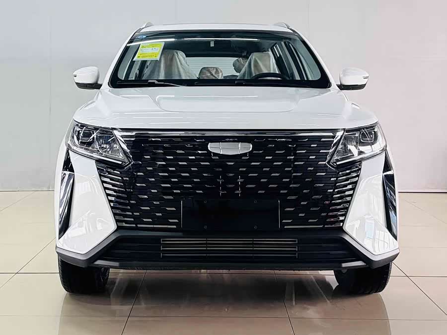 GEELY OkavangoPRO 2025 car image #2