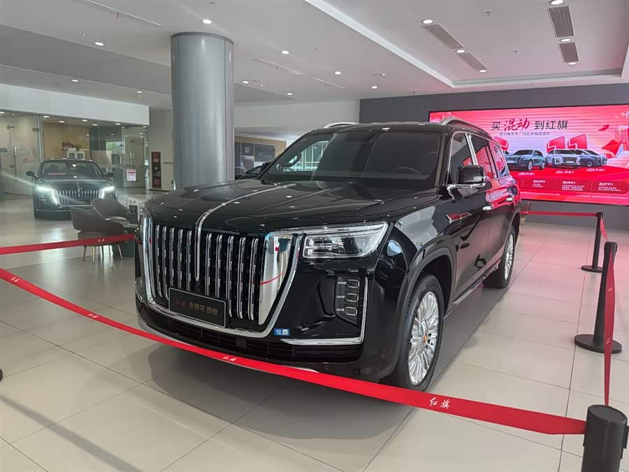 HongQi GuoYao car image #2