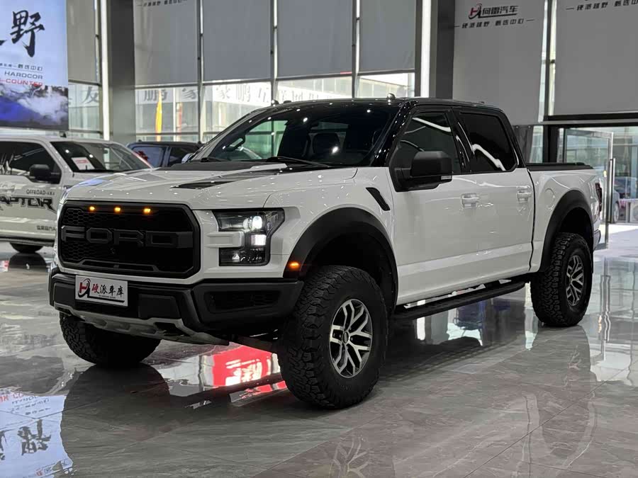 Ford F-150 Raptor 2018 car image #2