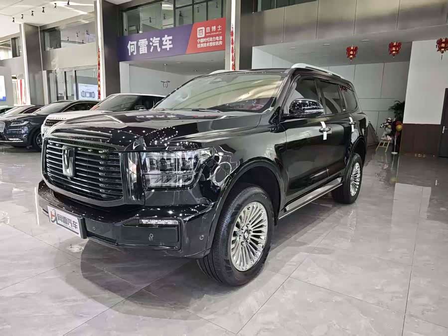 Tank 500 New Energy 2023 car image #2