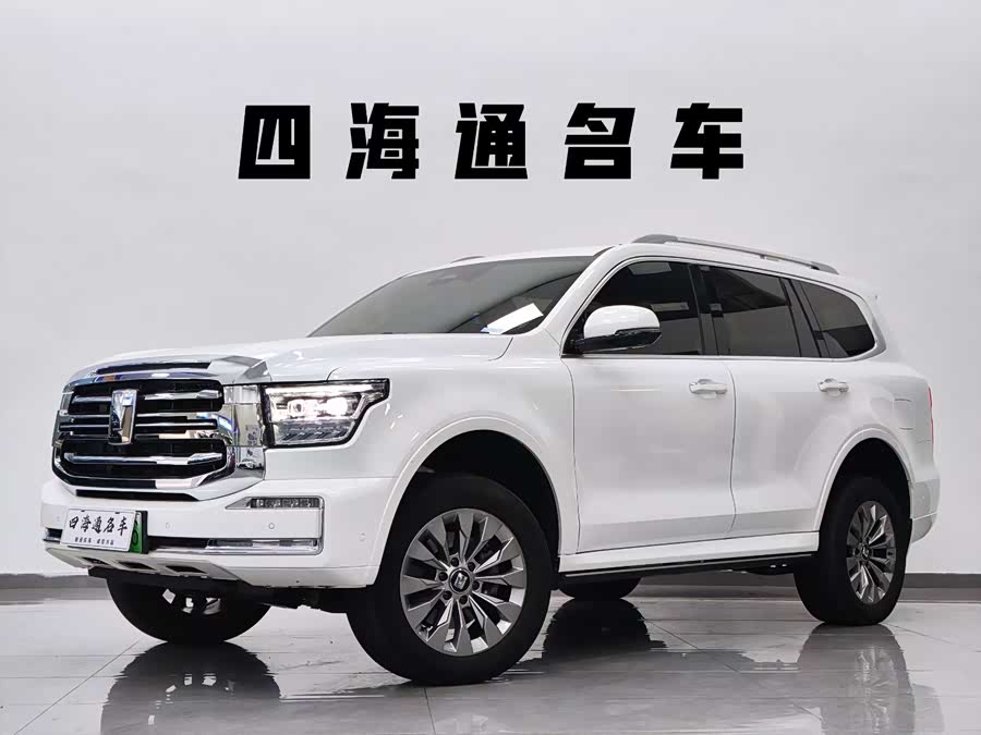 Tank 500 New Energy 2024 car image #2