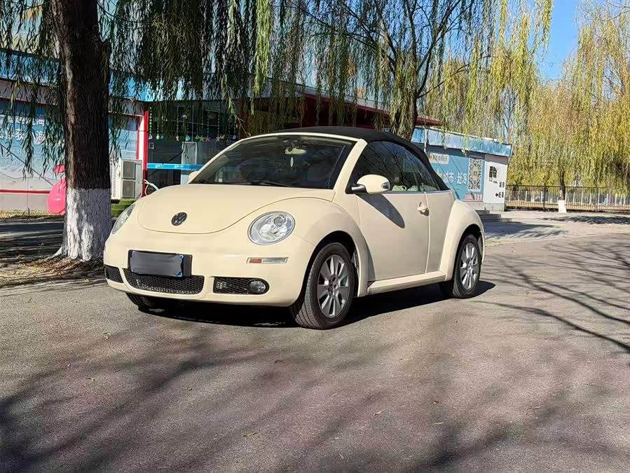 Volkswagen Beetle 2010 immagine di auto #2