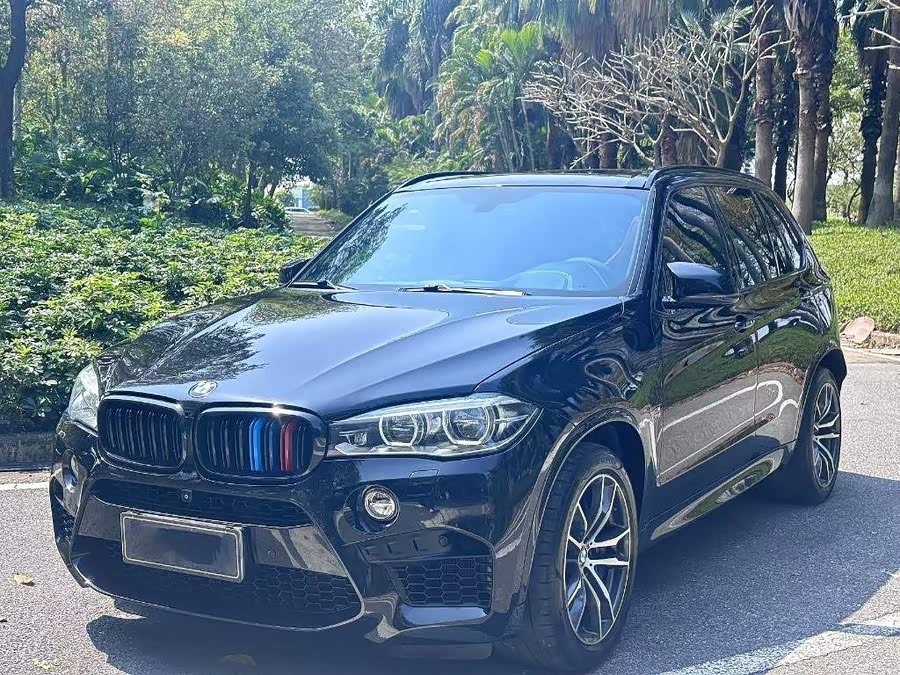 BMW X5 M 2017 car image #2