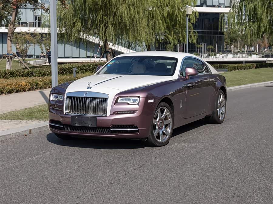 Denza Wraith 2018 immagine di auto #2