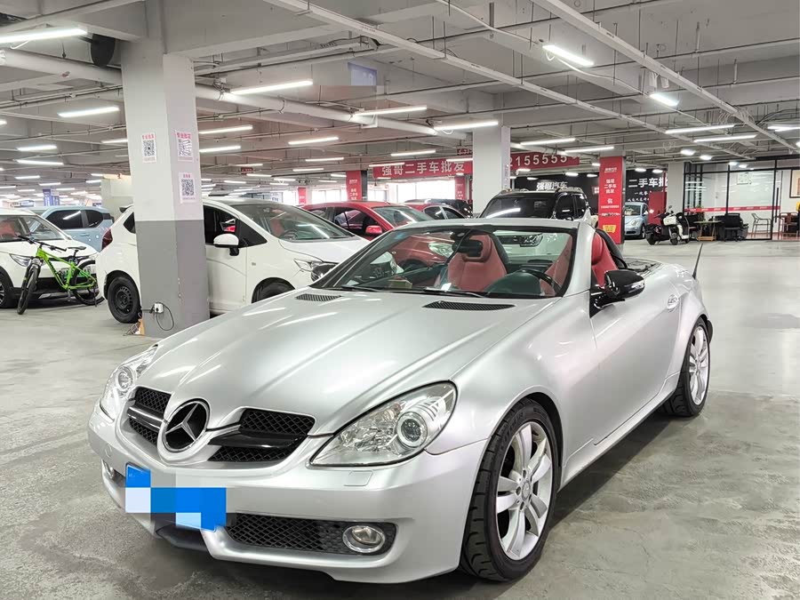 Mercedes-Benz SLK Class 2010 #2 Mercedes-Benz SLK Class 2010 car image #2
