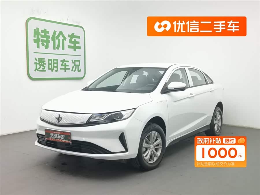 睿蓝汽车 枫叶60s 2023 汽车图片 #2