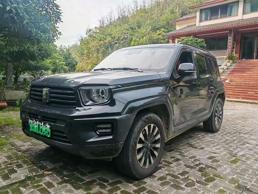 Tank 700 New Energy 2024 #2 Tank 700 New Energy 2024 immagine di auto #2