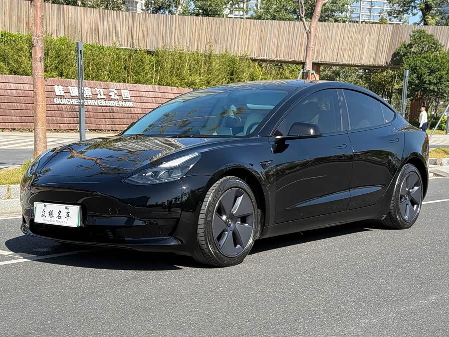 Tesla Model 3 2021 image de voiture #2