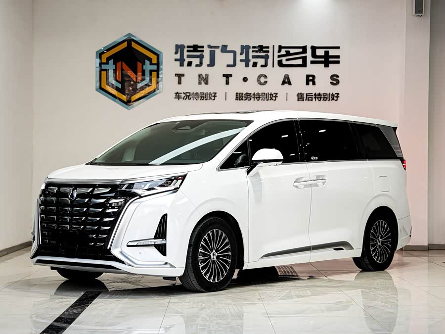 腾势 腾势D9 2024 汽车图片 #2