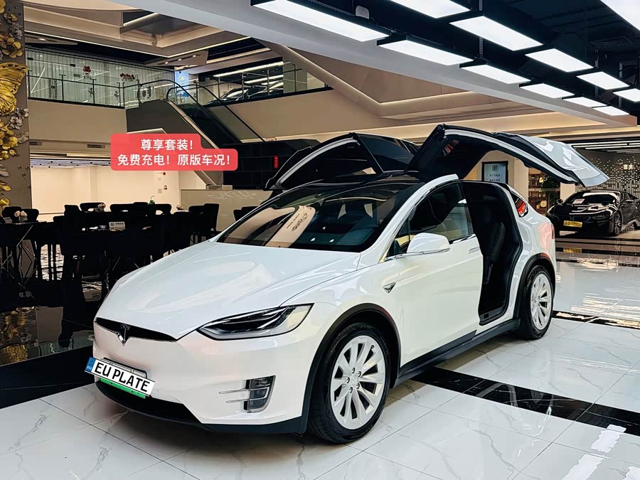 特斯拉 Model X 2017 汽车图片 #2
