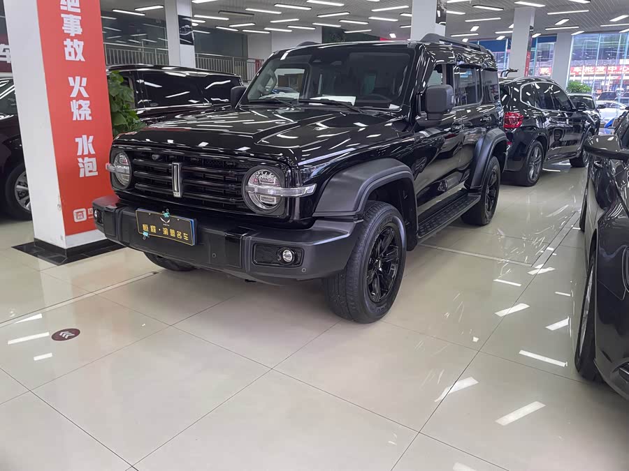 坦克 坦克300 2021 汽车图片 #2