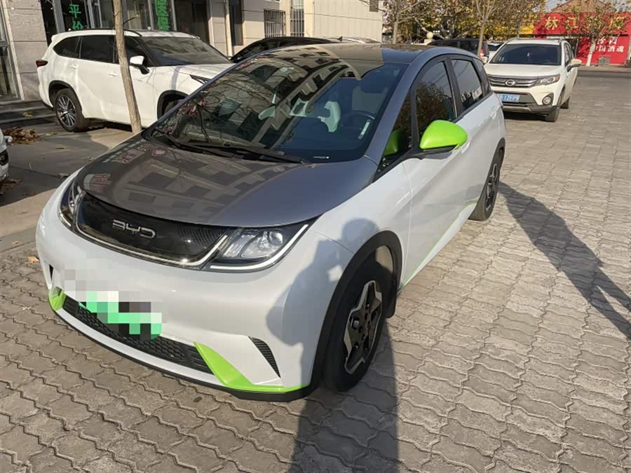 比亚迪 海豚 2021 汽车图片 #2