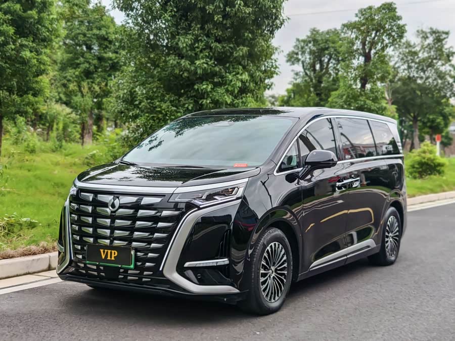 腾势 腾势D9 2023 汽车图片 #2