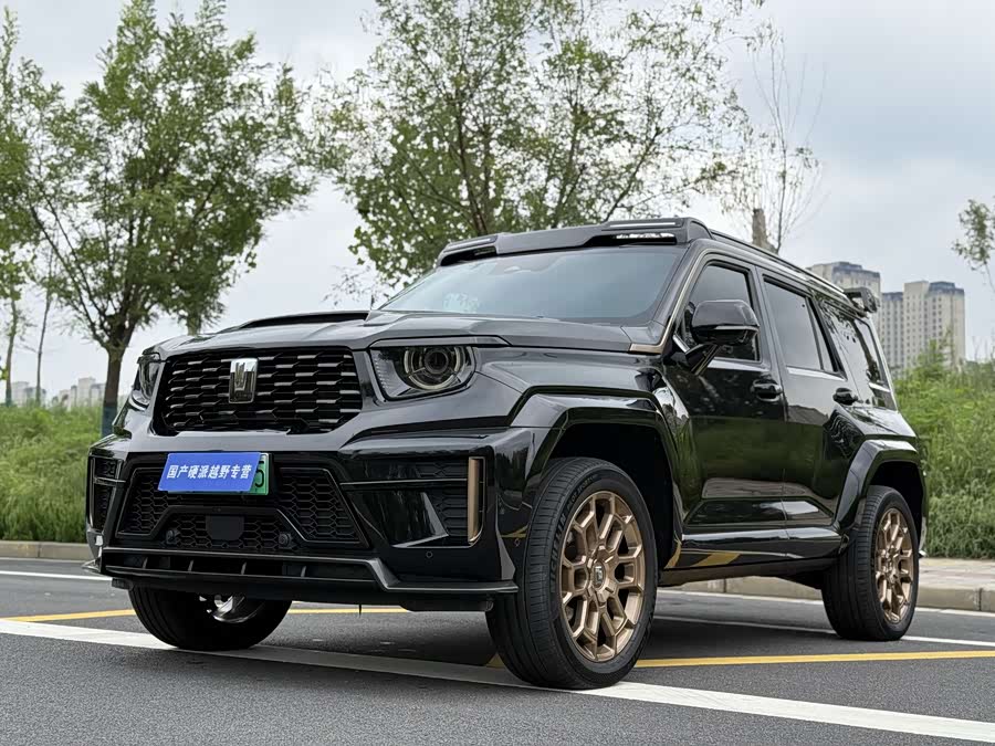 Tank 700 New Energy 2024 car image #2