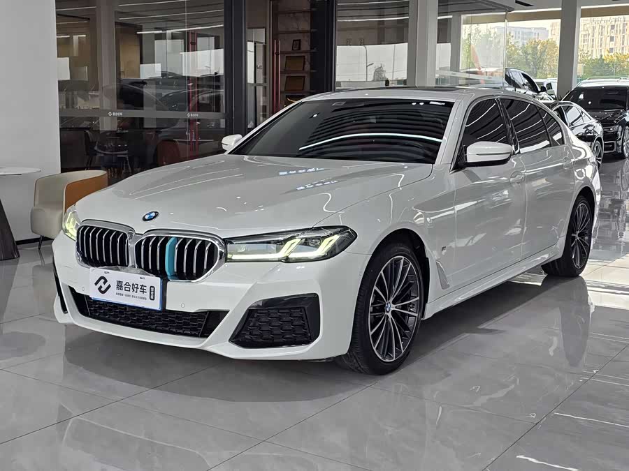 BMW 5 Series 2021 car image #2