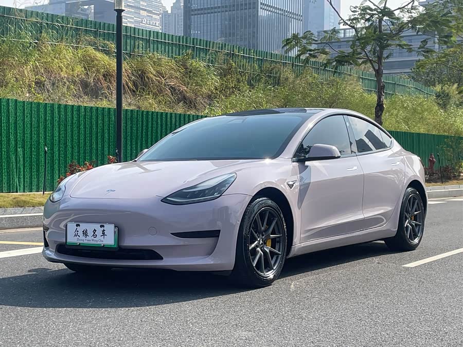 Tesla Model 3 2020 image de voiture #2