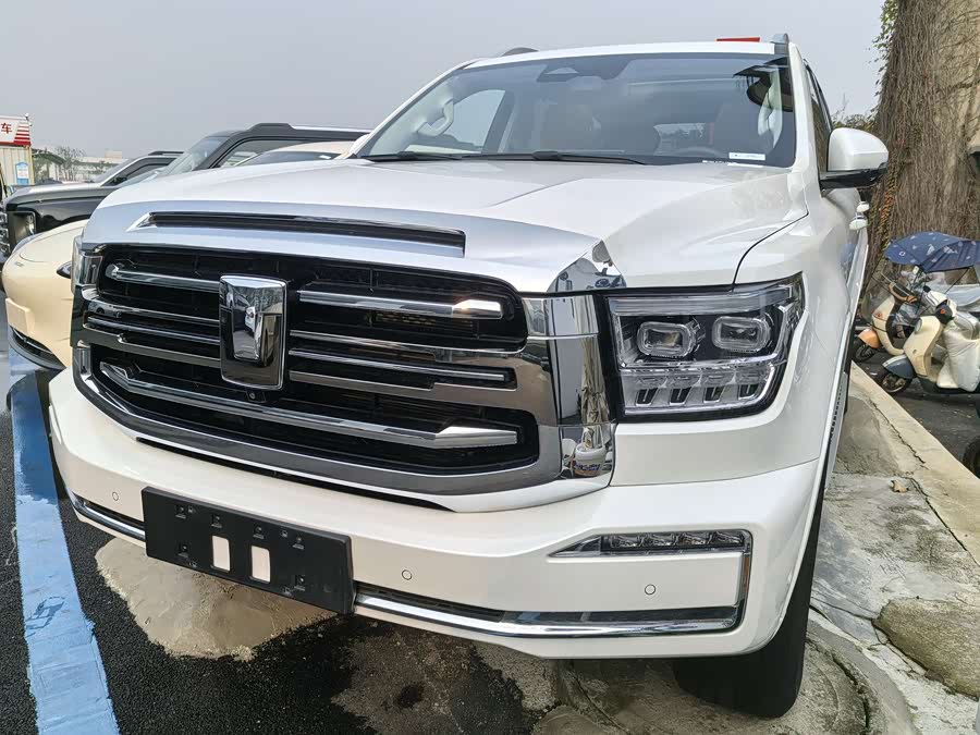 Tank 500 New Energy 2024 immagine di auto #2