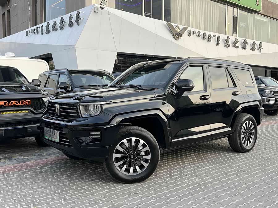 Tank 700 New Energy 2025 immagine di auto #2