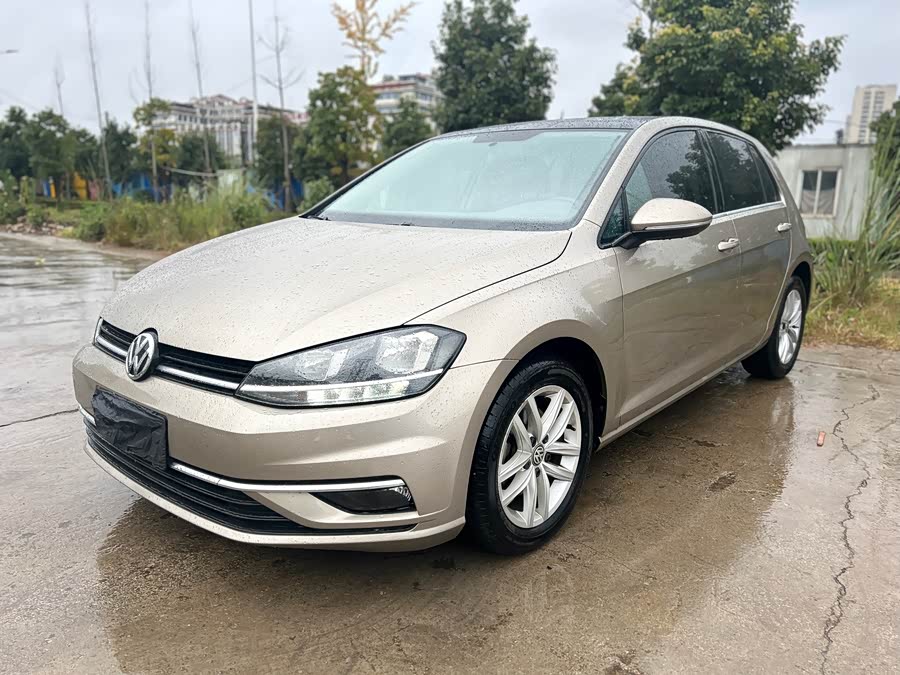 Volkswagen Golf 2019 #2 Volkswagen Golf 2019 car image #2