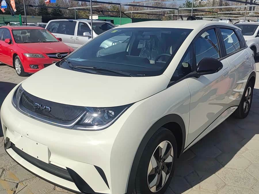 比亚迪 海豚 2025 汽车图片 #2