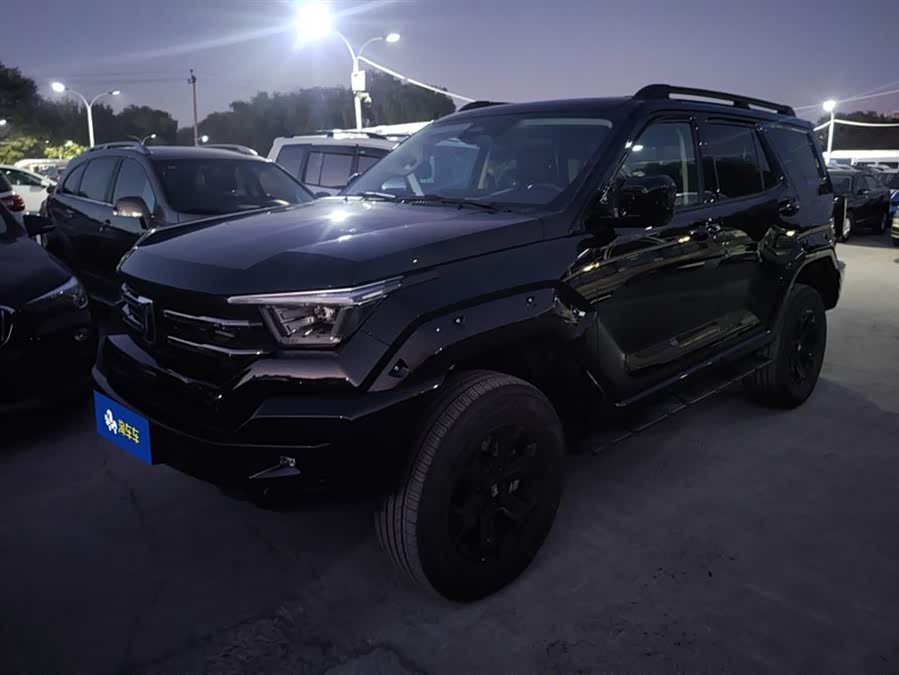 Tank 400 2024 #2 Tank 400 2024 imagen de coche #2