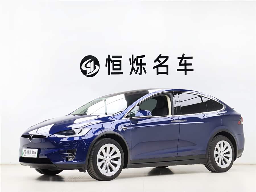 Tesla Model X 2017 car image #2
