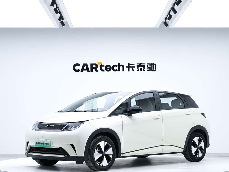 BYD Dolphin 2022 #2 BYD Dolphin 2022 immagine di auto #2