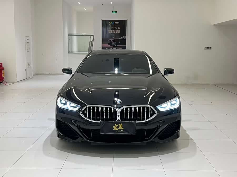 BMW 8 Series 2022 car image #2