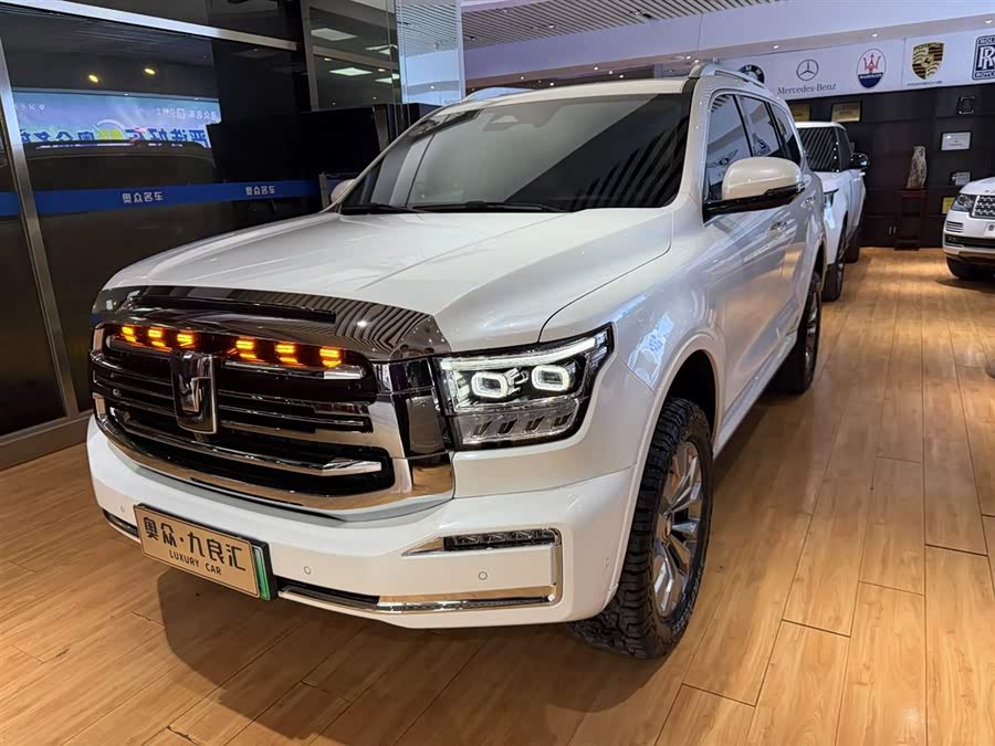 Tank 500 New Energy 2023 car image #2