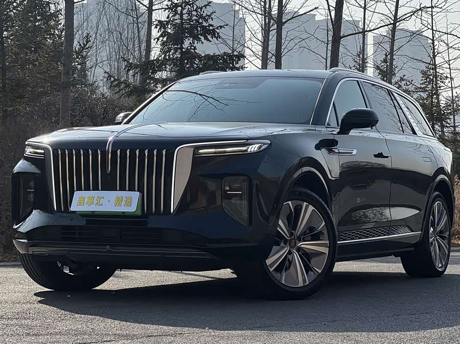 HongQi E-HS9 2023 صورة سيارة #2