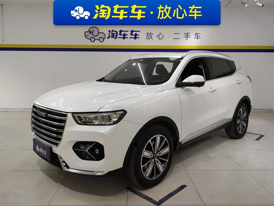 Haval H6 2021 car image #2