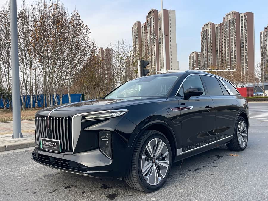 HongQi E-HS9 2023 изображение автомобиля #2
