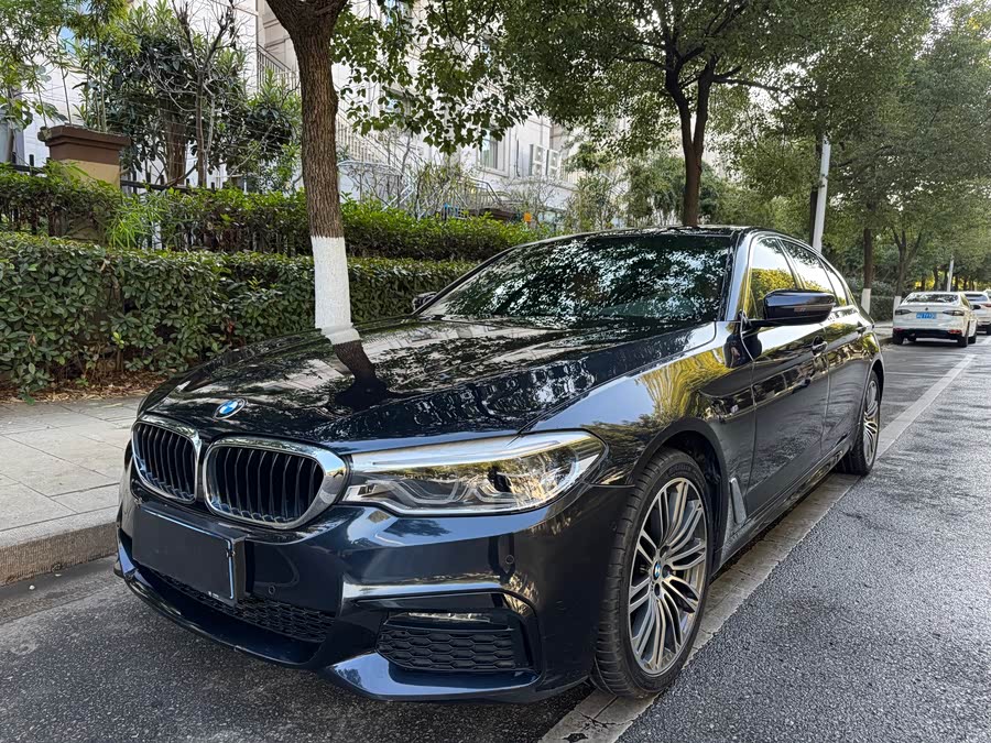 BMW 5 Series 2018 #2 BMW 5 Series 2018 car image #2