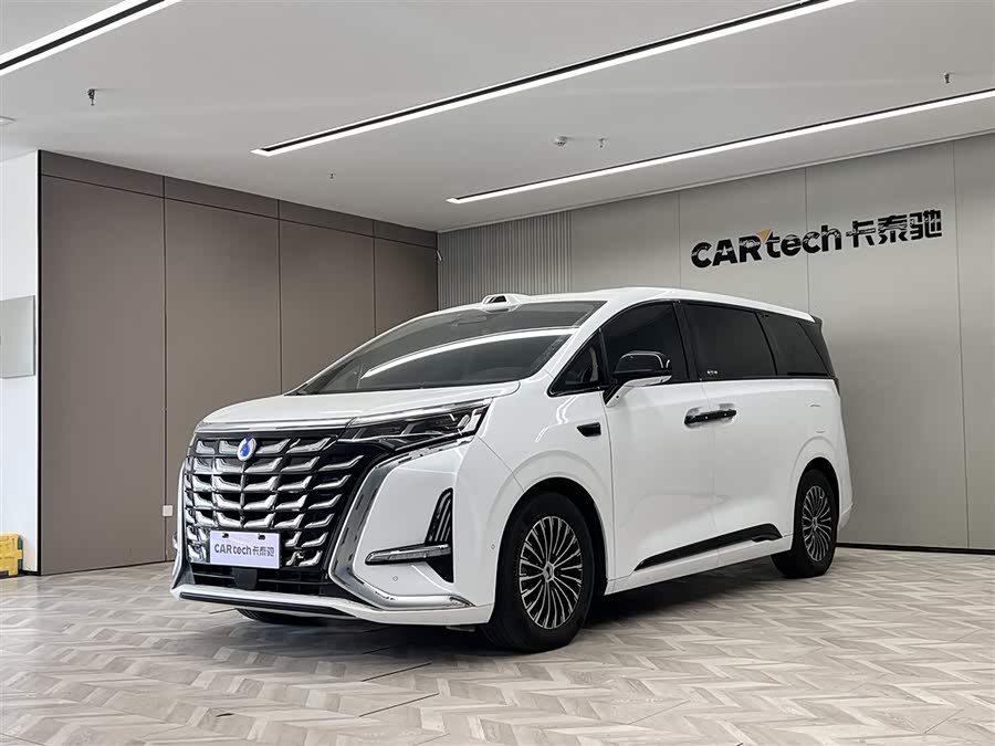 Denza D9 2025 car image #2