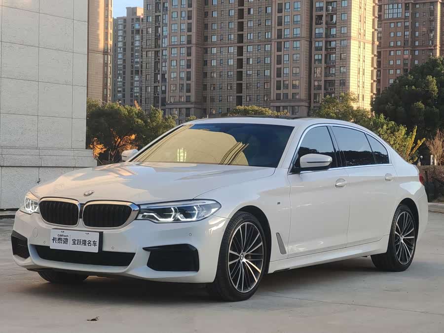 BMW 5 Series 2020 car image #2