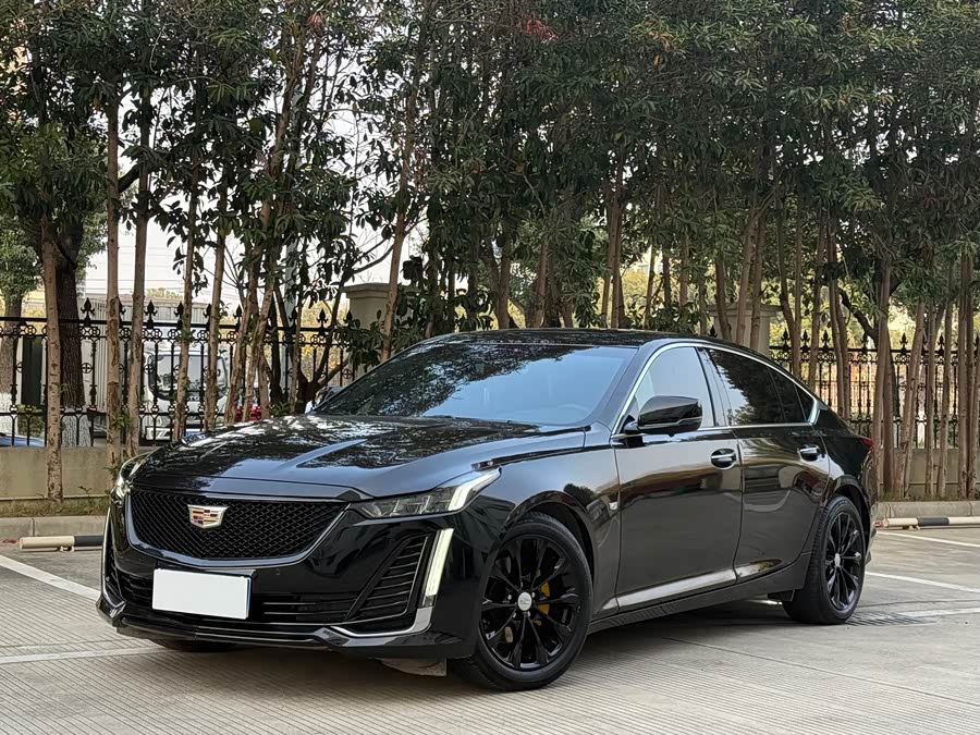2020 #2 2020 car image #2
