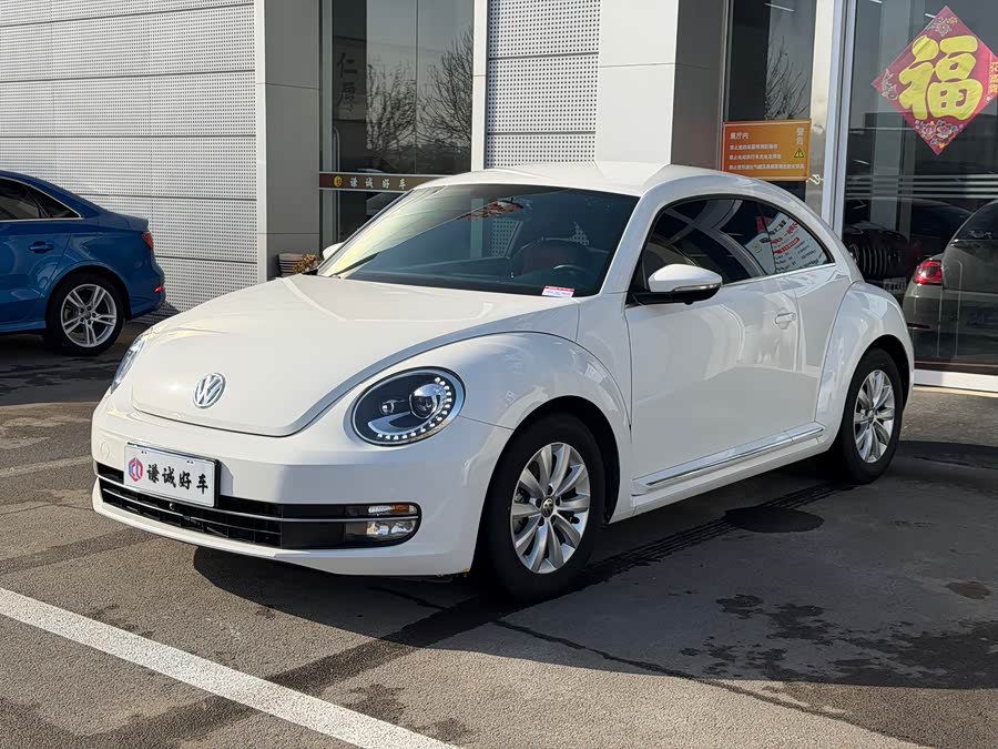Volkswagen Beetle 2014 immagine di auto #2