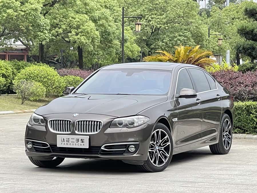 BMW 5 Series 2014 car image #2