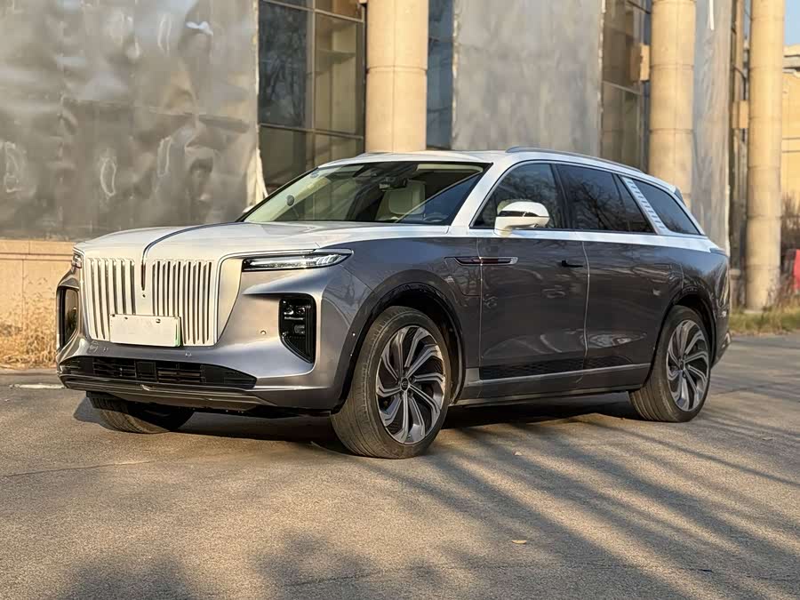 HongQi E-HS9 2020 image de voiture #2