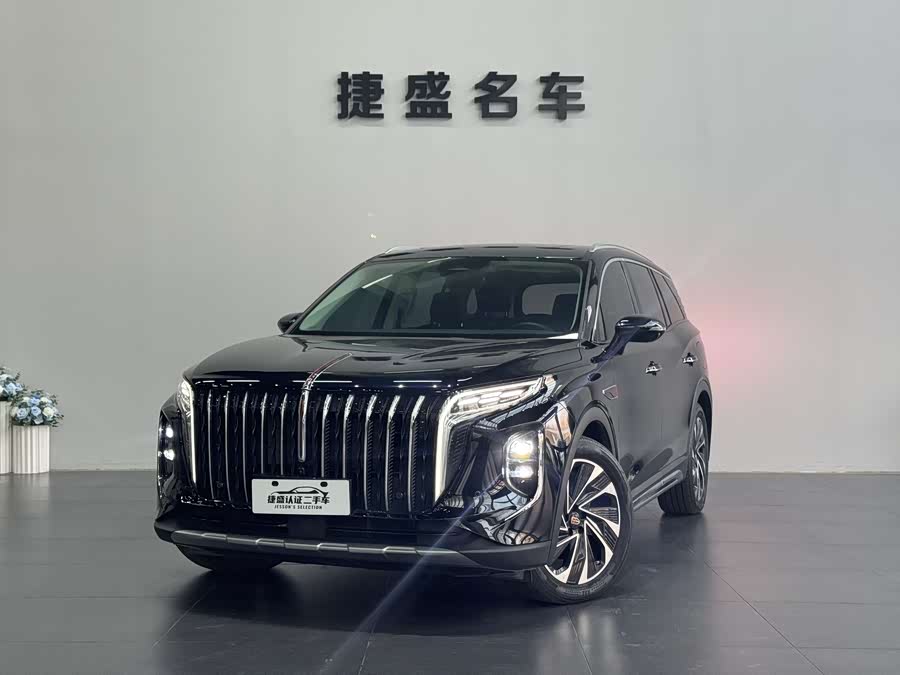 HongQi HS7 2024 car image #2