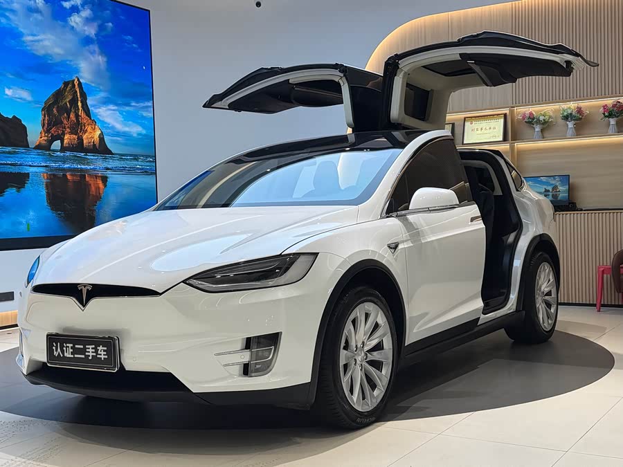 特斯拉 Model X 2017 汽车图片 #2