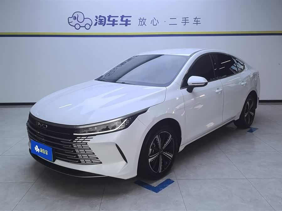 BYD Destroyer 05 2024 car image #2