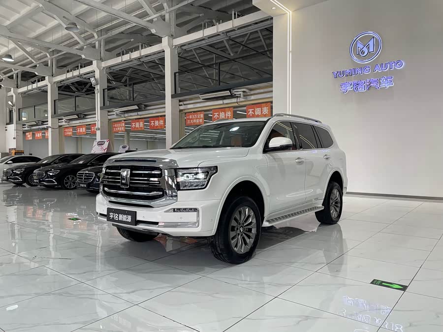 Tank 500 New Energy 2024 car image #2