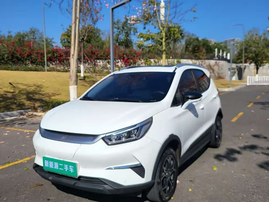 BYD Yuan Pro 2021 car image #2