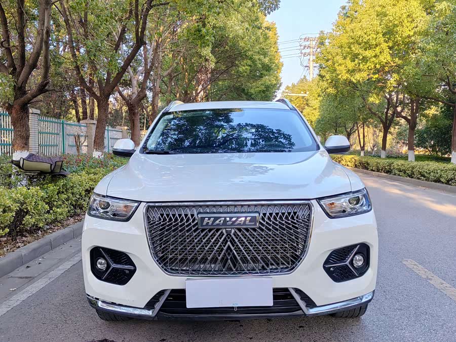 Haval H6 2020 car image #2