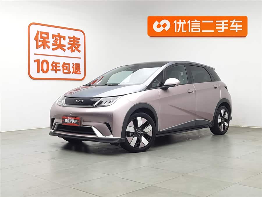 BYD Dolphin 2024 immagine di auto #2