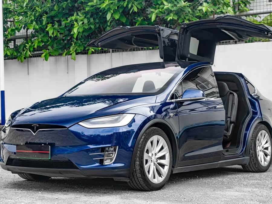 Tesla Model X 2020 car image #2