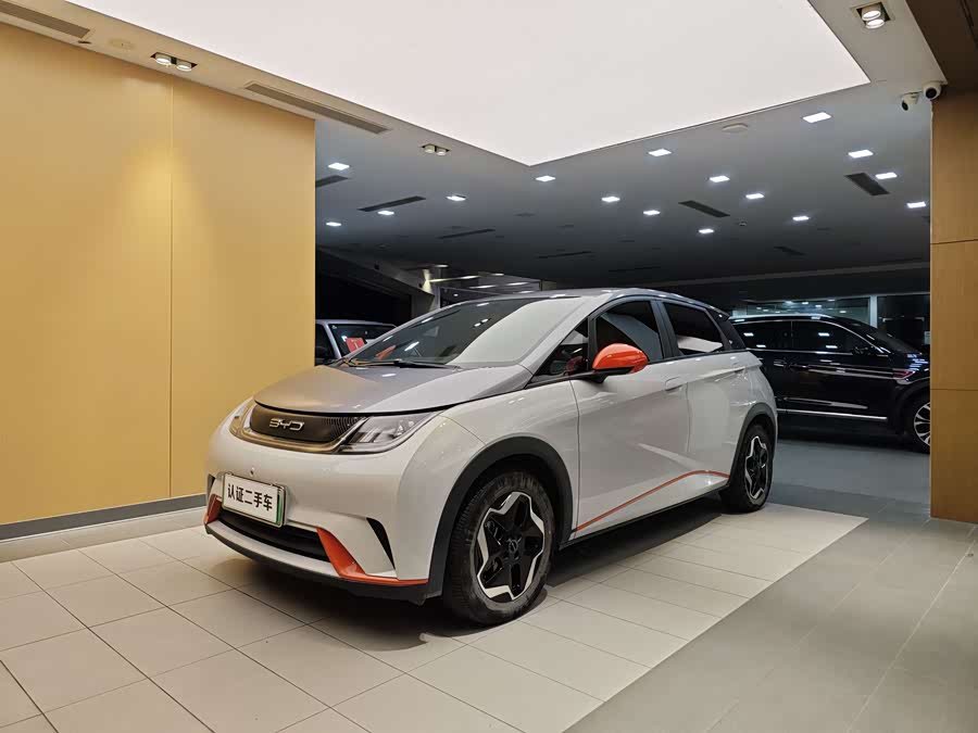 BYD Dolphin 2022 car image #2