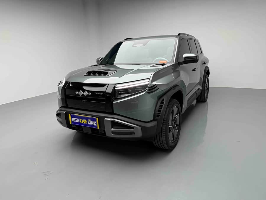 FangChengBao Tiger 3 2025 car image #2